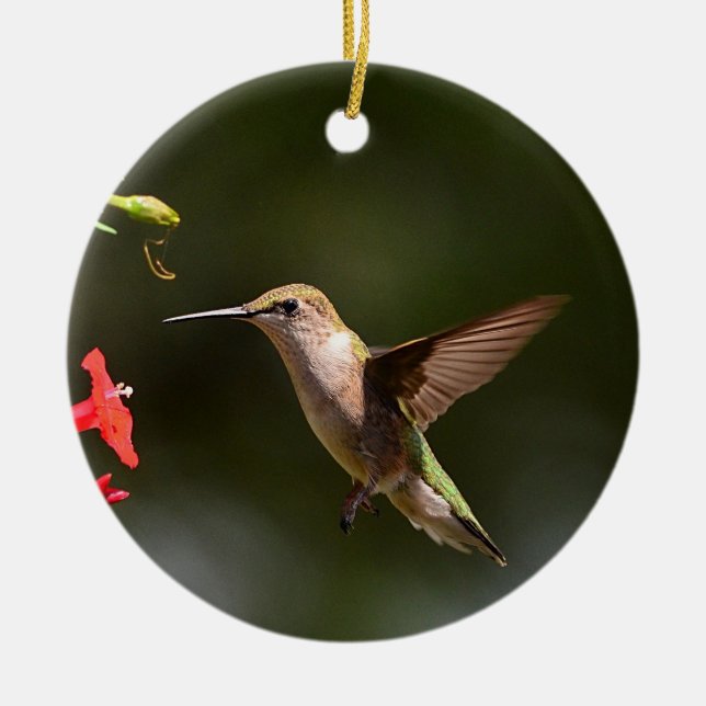 Ornement de colibri (Devant)