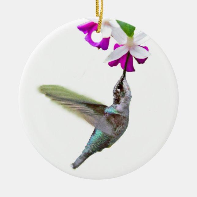 Ornement de colibri (Devant)