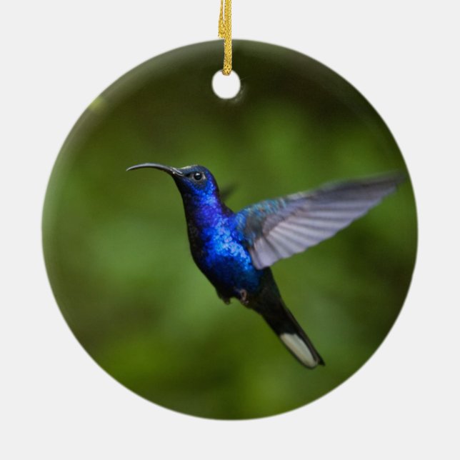 ORNEMENT DE COLIBRI (Dos)