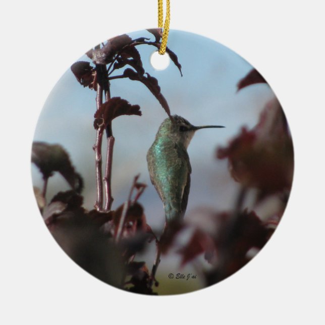 Ornement de colibri (Devant)
