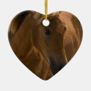 Ornement de conception de cheval de châtaigne