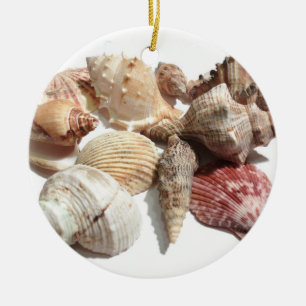 Ornement de coquillage