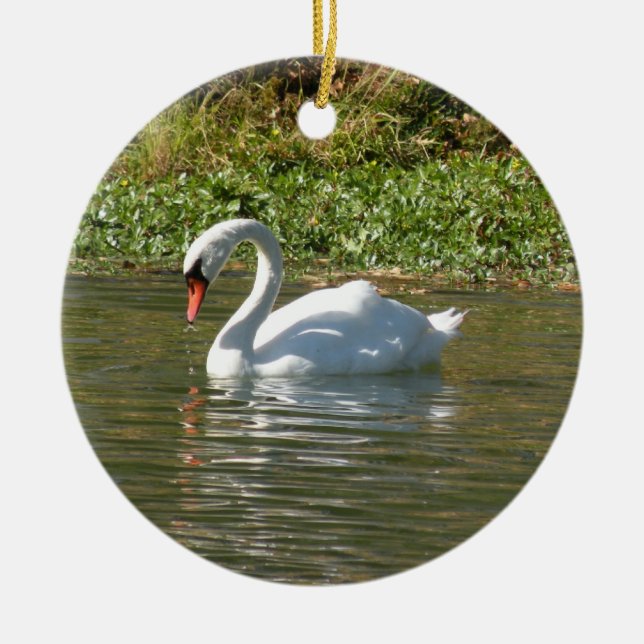Ornement de cygne (Devant)