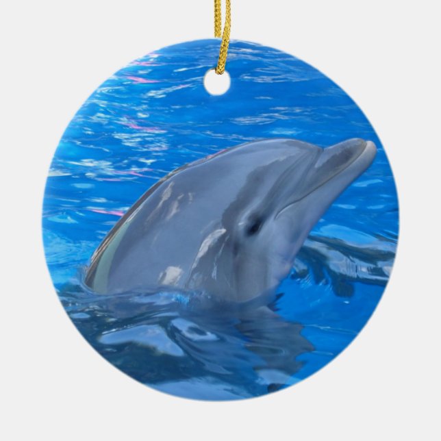 Ornement de dauphin de Bottlenose (Devant)