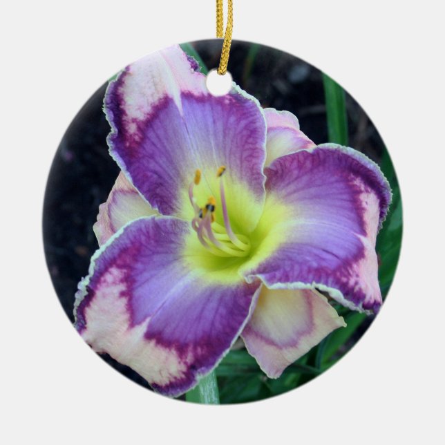 Ornement de Daylily (Devant)
