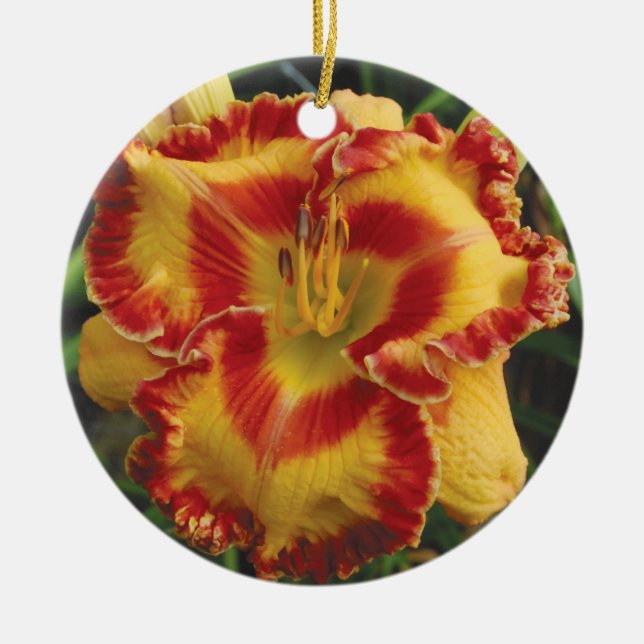 Ornement de Daylily (Devant)