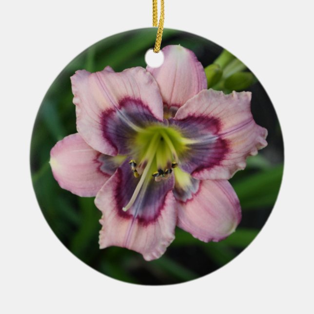 Ornement de Daylily (Devant)