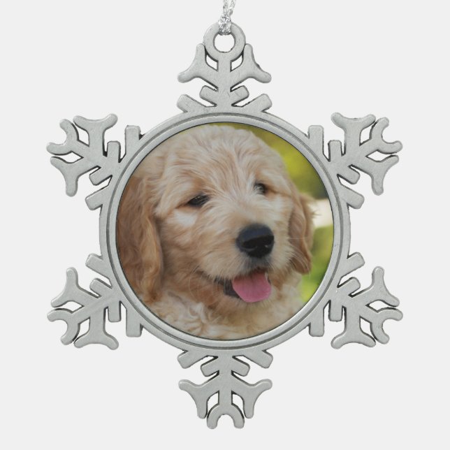 Ornement de Denny (Devant)