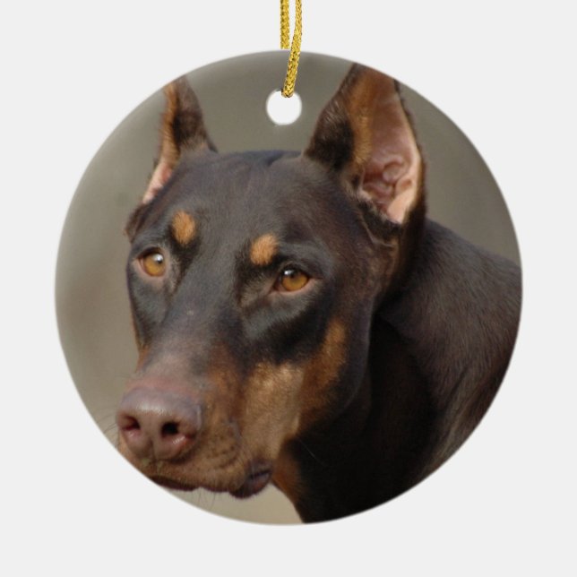 Ornement de dobermann (Devant)