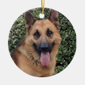 Ornement de "du visage votre chien"