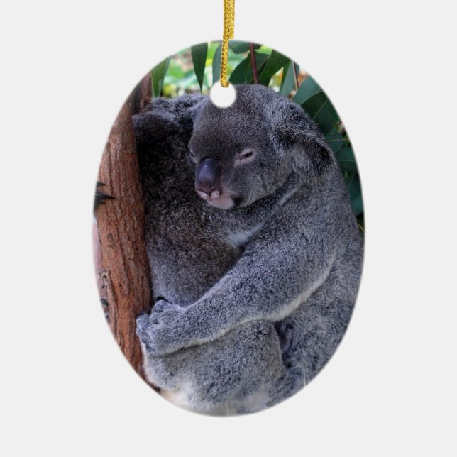 Ornement de famille de koala (Devant)