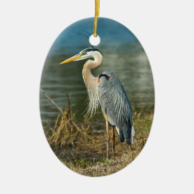 Ornement de faune d'oiseau de héron de grand bleu (Devant)