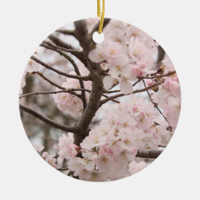 Ornement de fleurs cerises (Devant)