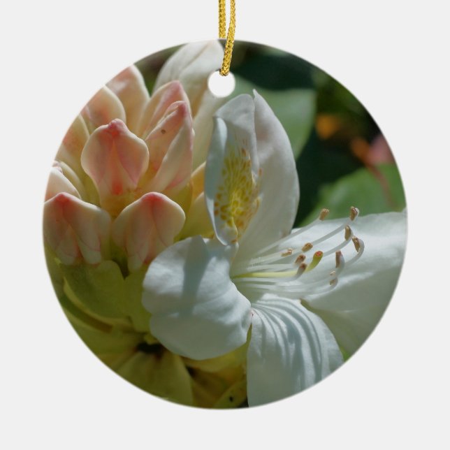 Ornement de fleurs d'azalée blanche (Devant)
