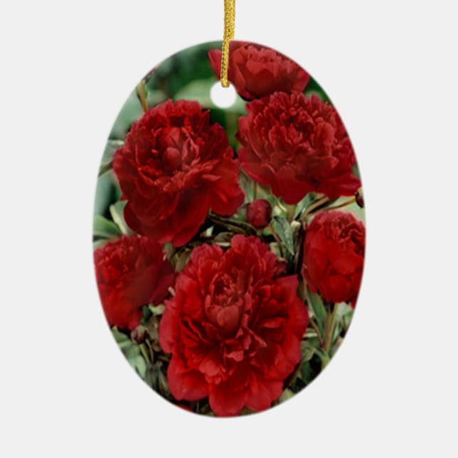 Ornement de fleurs de carnation rouge (Devant)