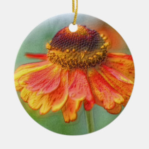 Ornement de fleurs de crayon d'Orange Zinnia