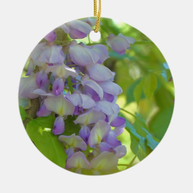 Ornement de fleurs de glycine pourpre (Devant)