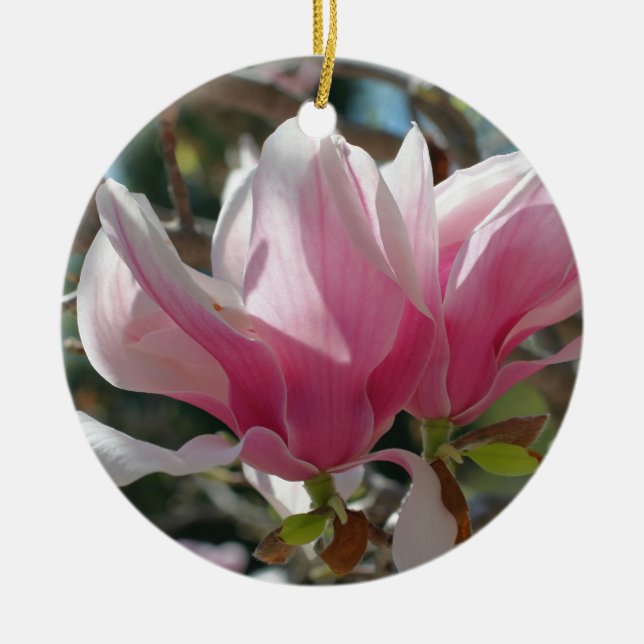 Ornement de fleurs de Magnolia rose de printemps (Devant)