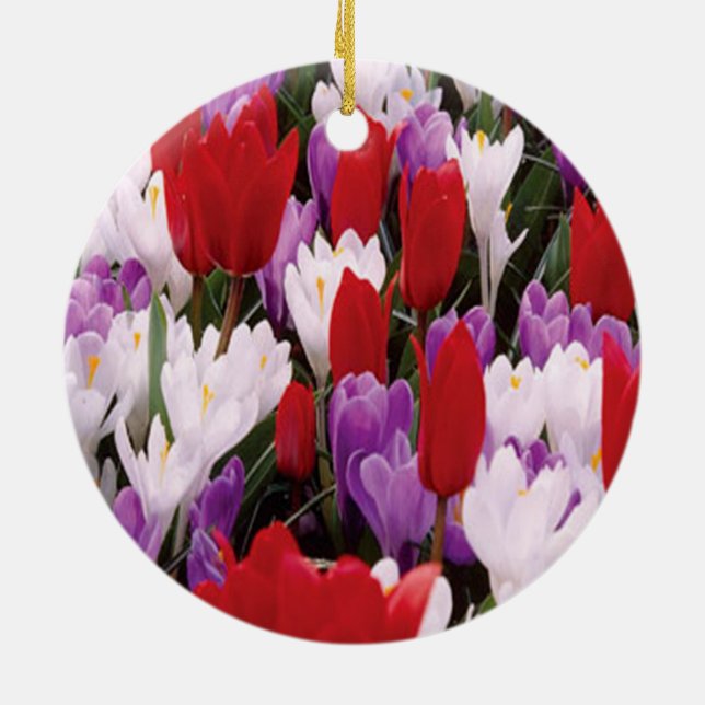 Ornement de fleurs de tulipes colorées (Dos)