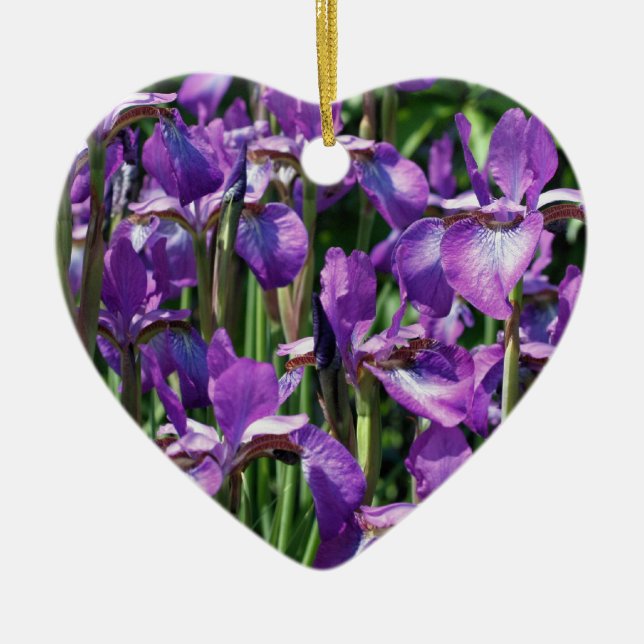 Ornement de fleurs d'Irises à poils violets (Devant)
