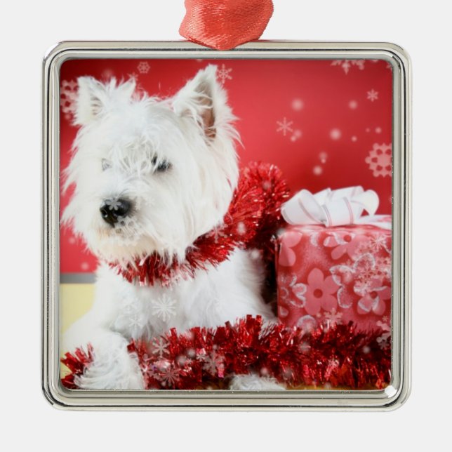 Ornement de flocon de neige de Noël de Westie (Devant)