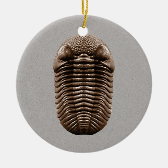 Ornement de fossile de Trilobite (Devant)