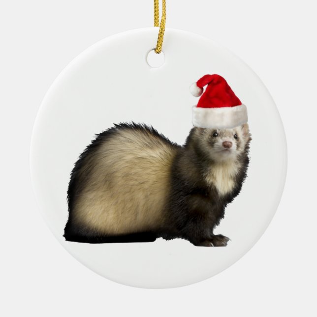 Ornement de furet de griffes de Père Noël (Devant)