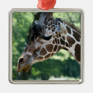Ornement de girafe