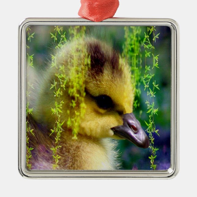 Ornement de Gosling de bébé (Devant)