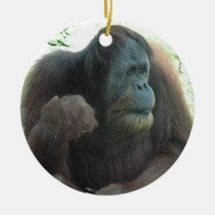 Ornement de grande singe