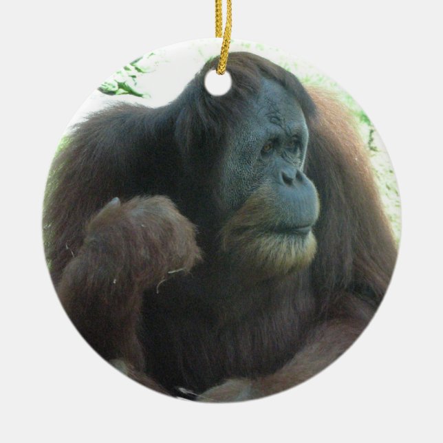 Ornement de grande singe (Devant)