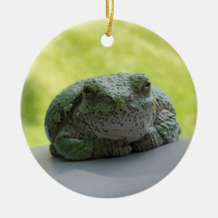 Ornement de grenouille arborescente