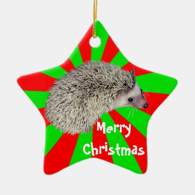 Ornement de hérisson de Noël (Devant)