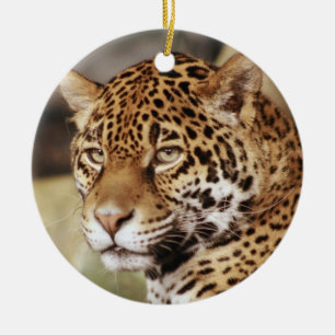 Ornement de Jaguar