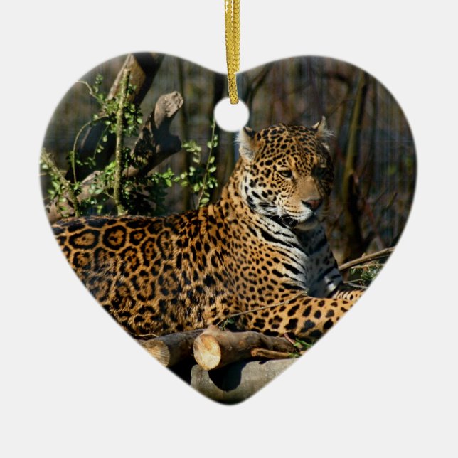 Ornement de Jaguar de Panthera (Devant)