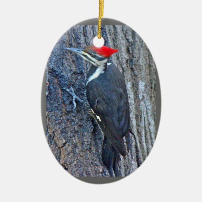 Ornement de Joyeux Noël de pivert de Pileated (Devant)