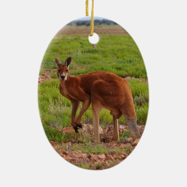 Ornement de kangourou rouge australien (Dos)