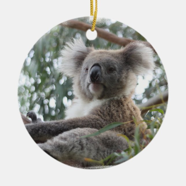 Ornement de koala (Devant)