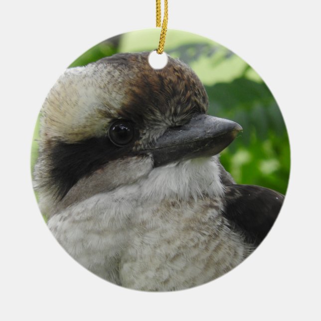 Ornement de Kookaburra (Devant)