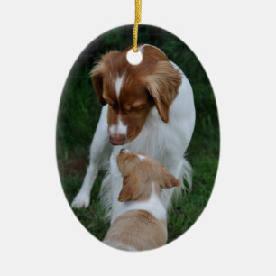 Ornement de la Bretagne de père et de fils