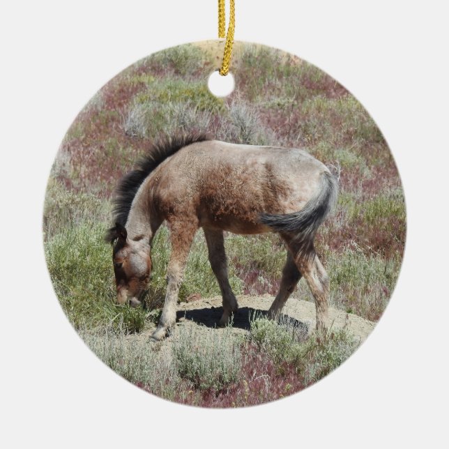 Ornement de la faune, cheval sauvage, faune, natur (Devant)