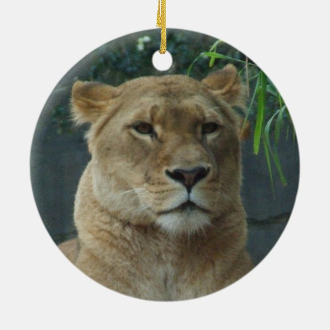 Ornement de la lionne (Dos)
