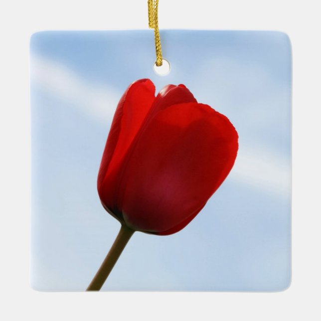 Ornement de la Tulipe rouge (Devant)