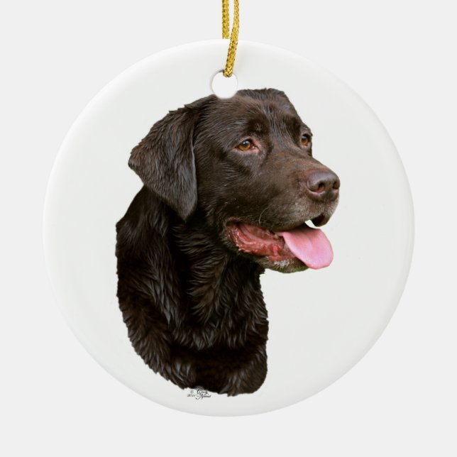 Ornement de labrador retriever de chocolat (Devant)