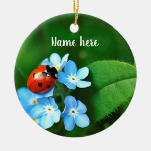 Ornement de Ladybug