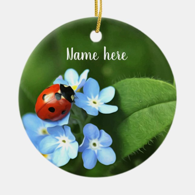 Ornement de Ladybug (Devant)