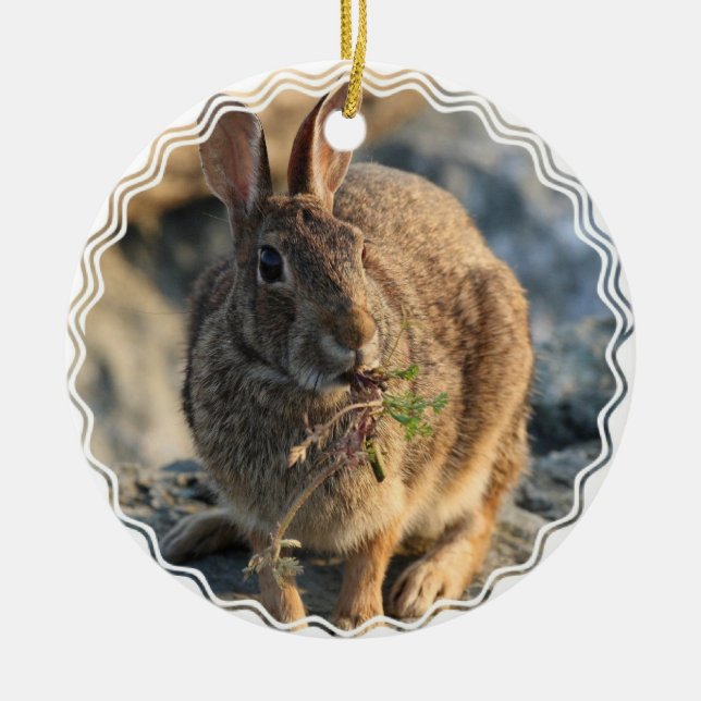 Ornement de lapin (Devant)
