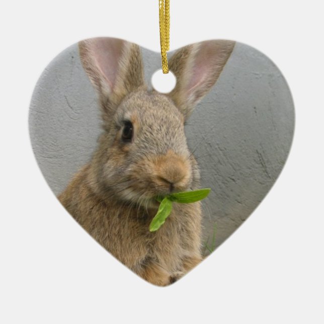 Ornement de lapin de lapin (Devant)