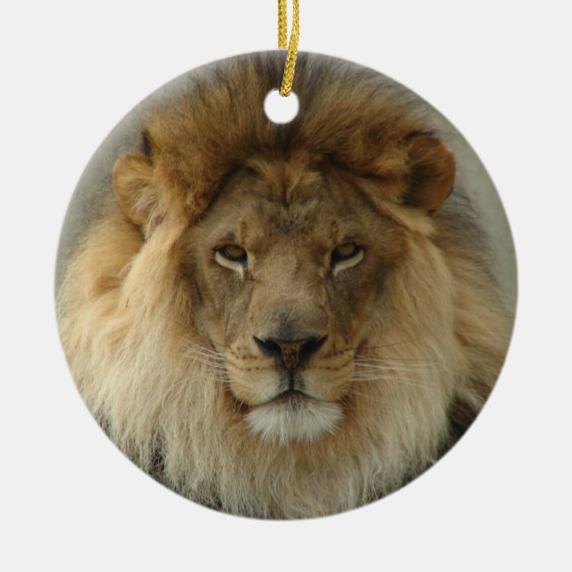 ORNEMENT DE LION (Devant)