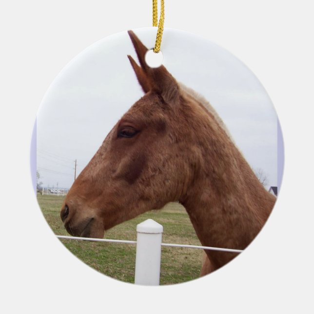 Ornement de marée de mule (Devant)